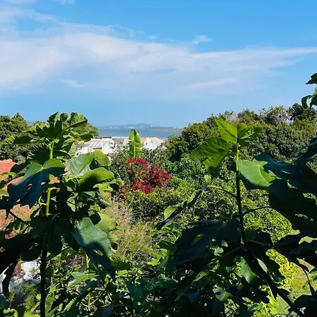Appartamento Alonaki Bay Halikounas Esterno foto