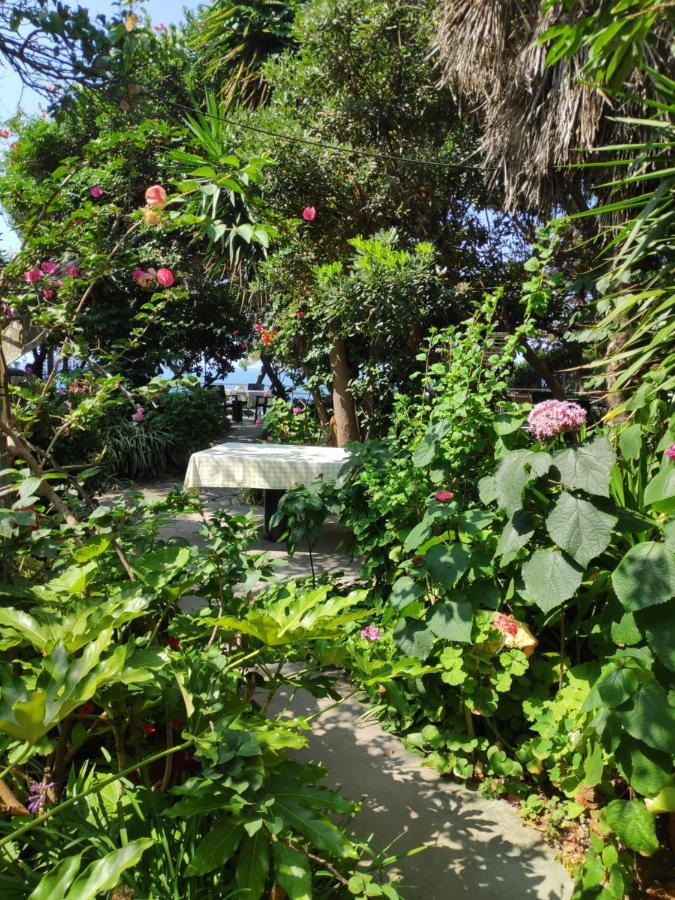 Alonaki Bay Apartment Halikounas