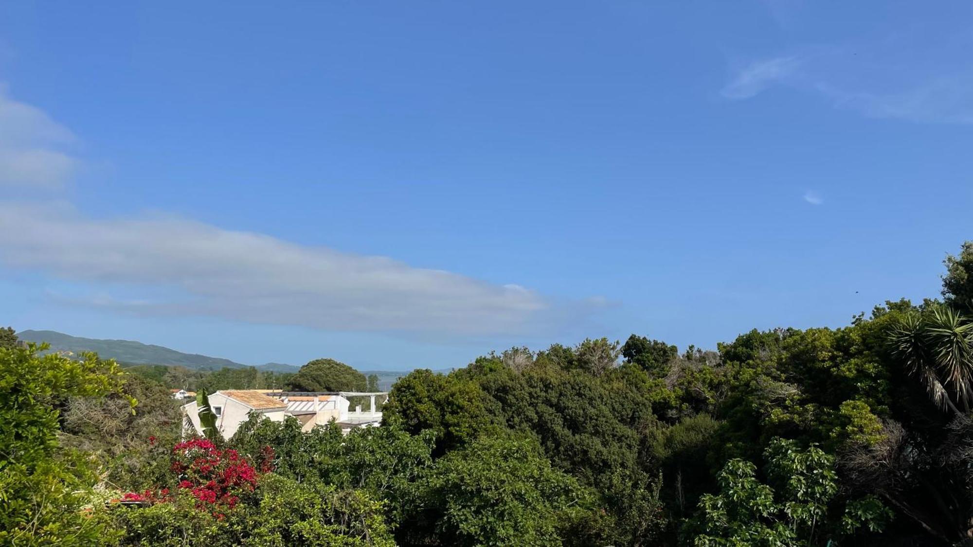 Alonaki Bay Apartment Halikounas