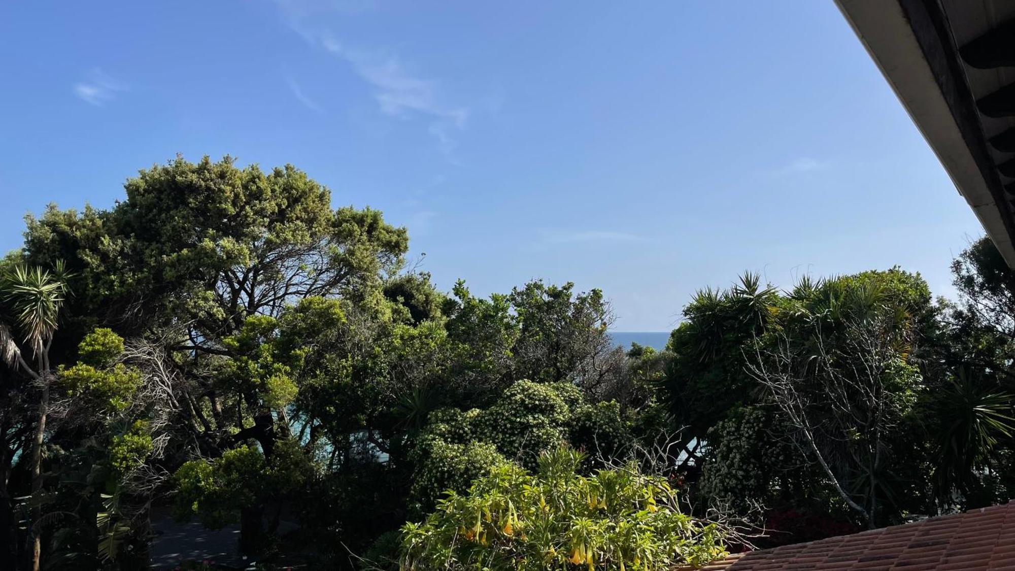 Alonaki Bay Halikounas